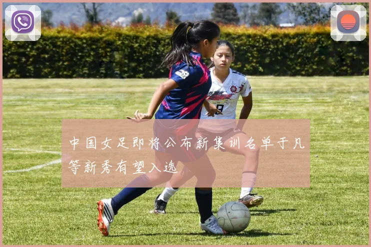 中国女足即将公布新集训名单于凡等新秀有望入选
